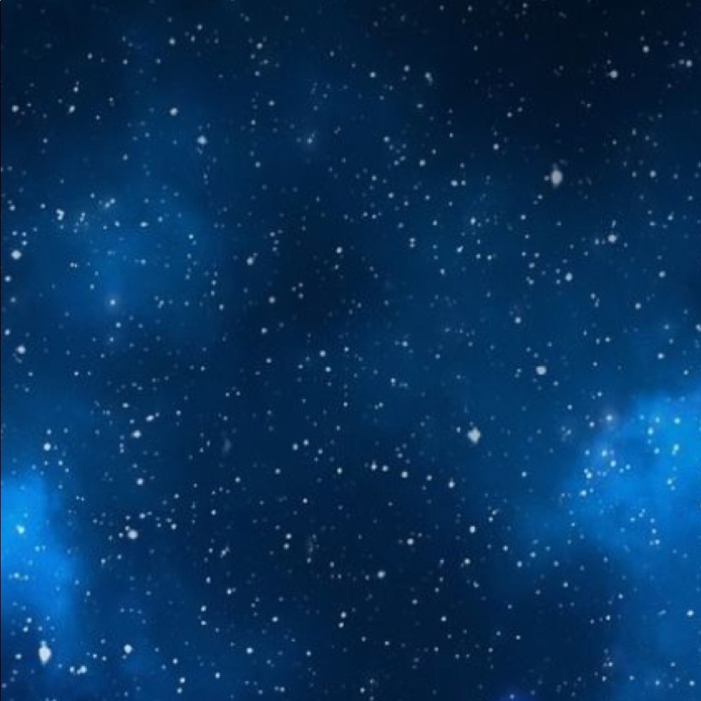 Meet your Posher, Lily